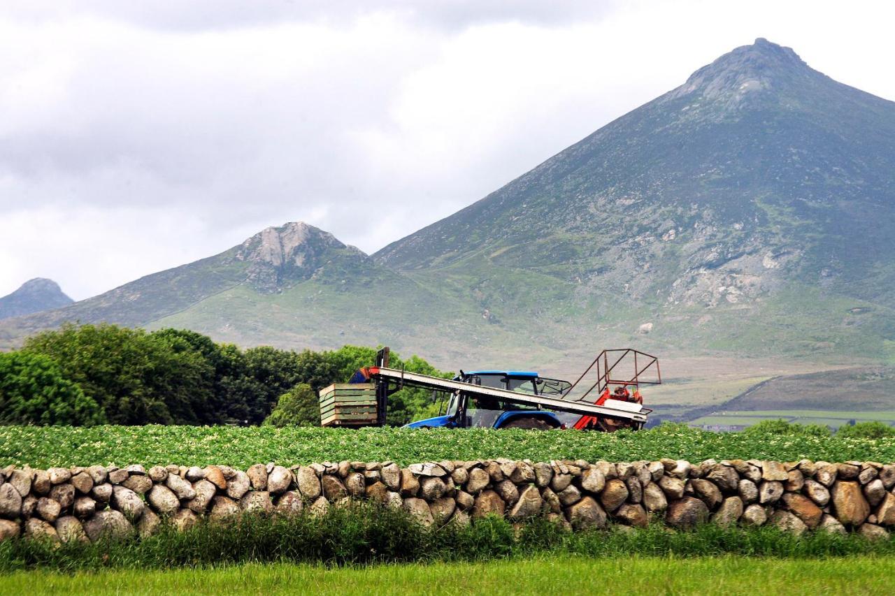 Ballykeel Farm, Mourne Mountains Ballymartin Zewnętrze zdjęcie
