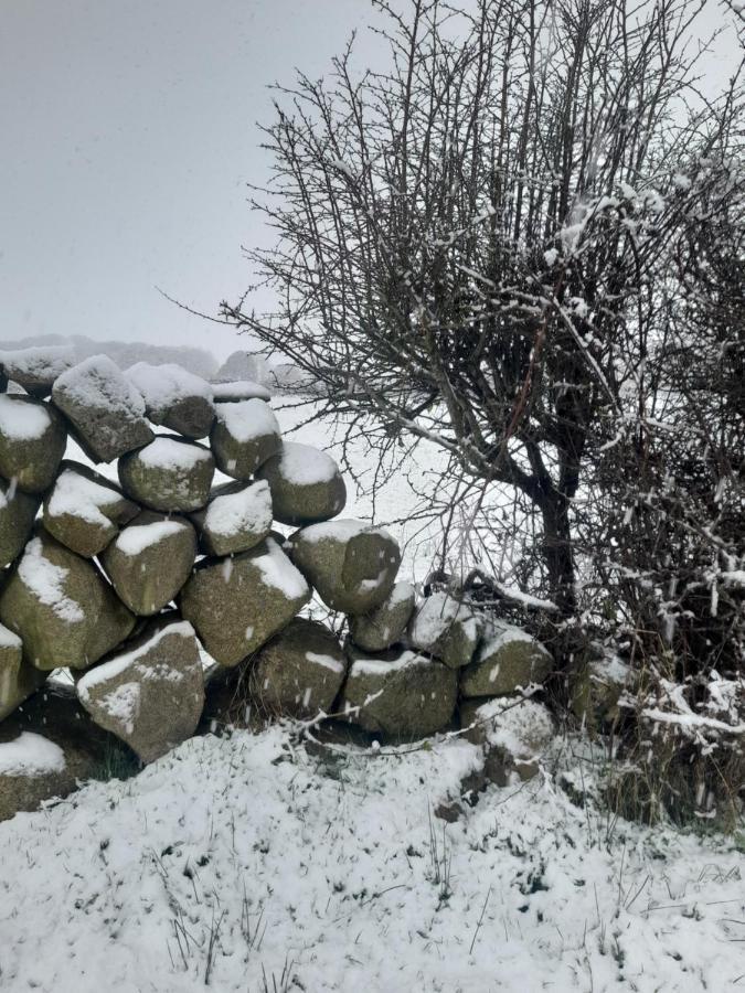 Ballykeel Farm, Mourne Mountains Ballymartin Zewnętrze zdjęcie